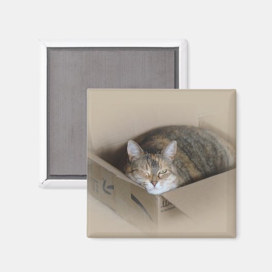 Lily #3 magnet (Vorderseite/Rückseite)