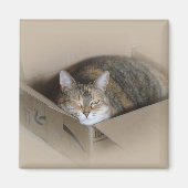 Lily #3 magnet (Vorne)