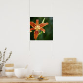 Lily 6588 Print Poster (Küche)