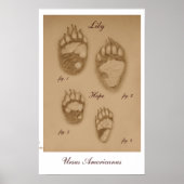 Lily and Hope Paw Print Poster (Vorne)