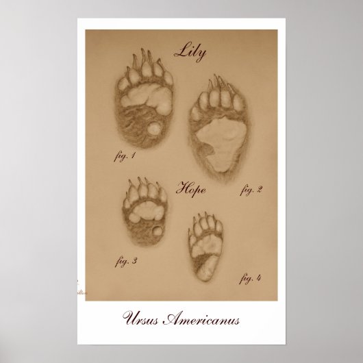 Lily and Hope Paw Print Poster (Vorne)