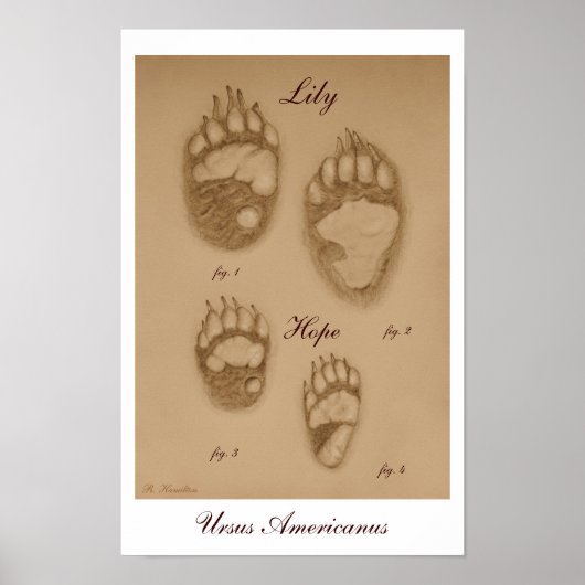 Lily and Hope Paw Print Poster (Vorne)