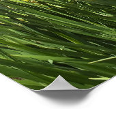 Lily and Iris Garden Poster (Ecke)