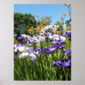 Lily and Iris Garden Poster (Vorne)