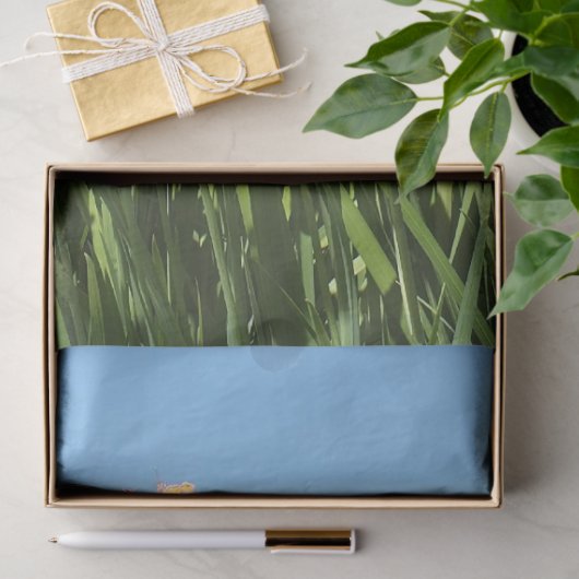 Lily and Iris Garden Poster Seidenpapier (Geschenk)