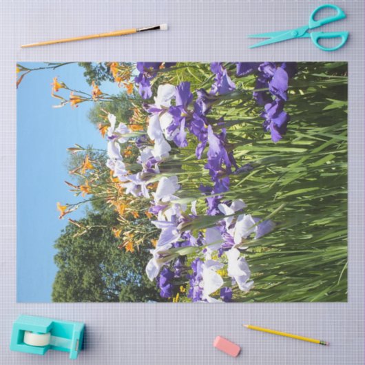 Lily and Iris Garden Poster Seidenpapier (Basteln)