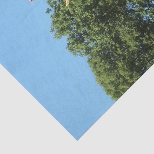 Lily and Iris Garden Poster Seidenpapier (Ausschnitt)