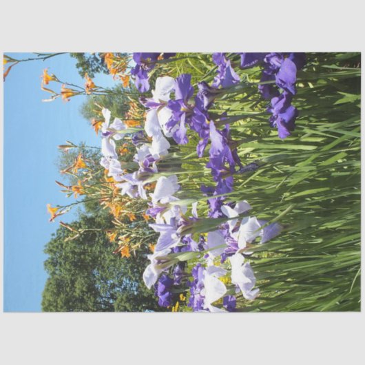 Lily and Iris Garden Poster Seidenpapier (Vorderseite)