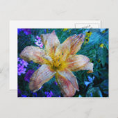 Lily-Art-Postkarte Postkarte (Vorne/Hinten)