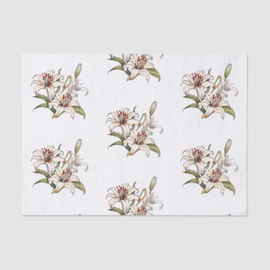 Lily aus dem Tal. Blütenorange Seidenpapier (Vorderseite)