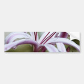 Lily Autoaufkleber (Vorne)