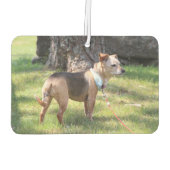 Lily Autolufterfrischer (Rückseite)