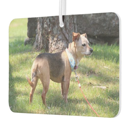 Lily Autolufterfrischer (Links)