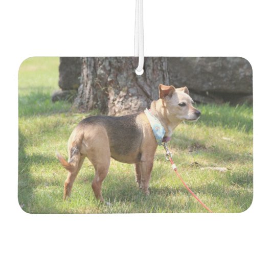 Lily Autolufterfrischer (Vorderseite)