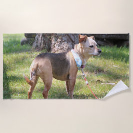 Lily Beach Towel Strandtuch