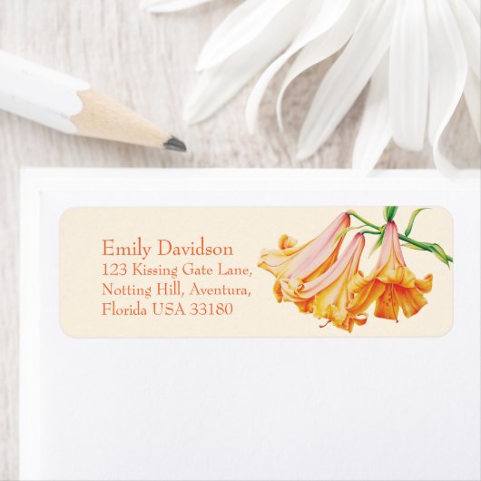 Lily bell fine art wedding return-Adresse (Insitu)