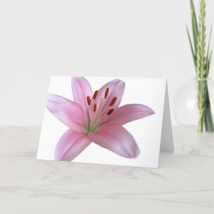 Lily - Blank greetings Card Karte