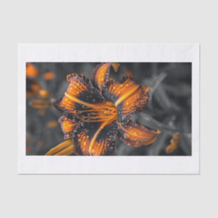 Lily-Blume10 Seidenpapier