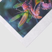 Lily-Blume1 Seidenpapier (Ausschnitt)