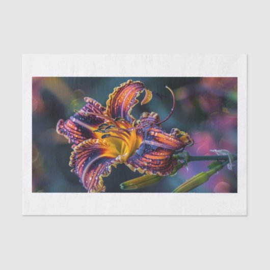 Lily-Blume4 Seidenpapier (Vorderseite)