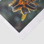 Lily-Blume9 Seidenpapier (Ausschnitt)