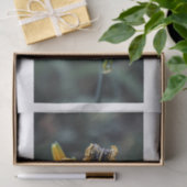 Lily-Blume9 Seidenpapier (Geschenk)
