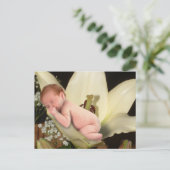 Lily Blume Baby Postcard Postkarte (Stehend Vorderseite)