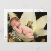 Lily Blume Baby Postcard Postkarte (Vorne/Hinten)