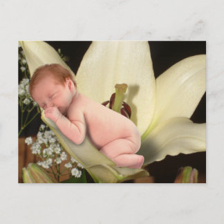 Lily Blume Baby Postcard Postkarte