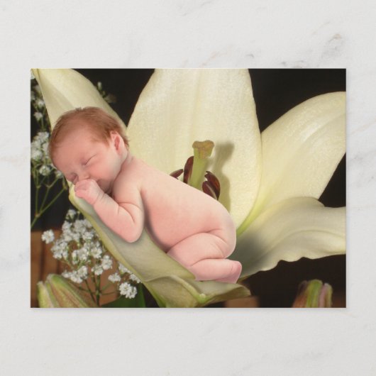 Lily Blume Baby Postcard Postkarte (Vorderseite)
