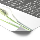 Lily Blume, Beerdigung Zuhause, Direktoren Poster (Ecke)