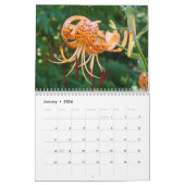LILY BLUME CALENDARS Gärtnergeschenke Kalender (Jan 2026)