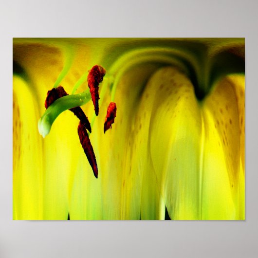 Lily Blume Fantasy Floral Abstrakt Poster (Vorne)