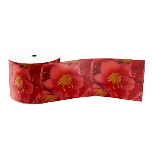 Lily Blume Foto Ribbon Ripsband