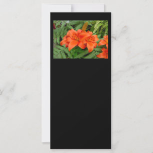 Lily Blume - Iridescent orange (Matt 28-30)