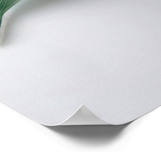 Lily Blume Poster (Ecke)