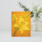Lily Blume Postkarte (Stehend Vorderseite)