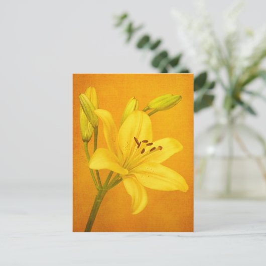 Lily Blume Postkarte (Stehend Vorderseite)
