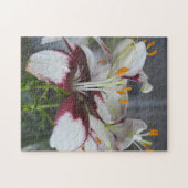 Lily Blume White Maroon Botanical Fotograpi Puzzle (Horizontal)
