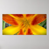 Lily & Bug, Poster (Vorne)