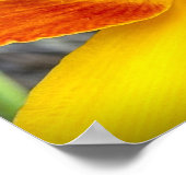 Lily & Bug, Poster (Ecke)