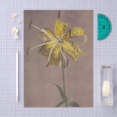 Lily by Ogawa Kazumasa Seidenpapier (Handwerk)