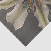 Lily by Ogawa Kazumasa Seidenpapier (Ausschnitt)