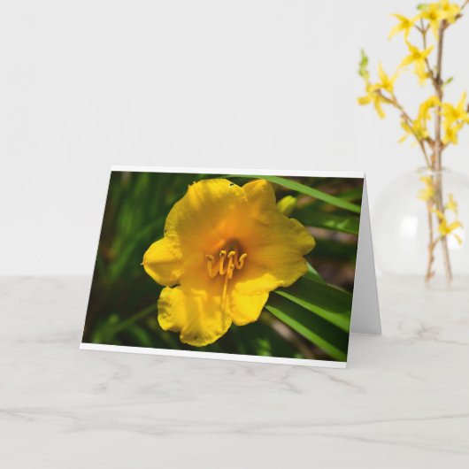 Lily, Card Karte (Gelbe Blume)