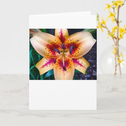 Lily, Card Karte (Gelbe Blume)