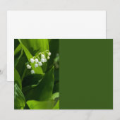 Lily der Blume (Vorne/Hinten)