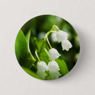 Lily der Blume Button