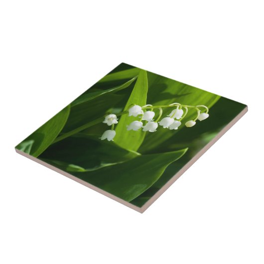 Lily der Blume Fliese (Seite)