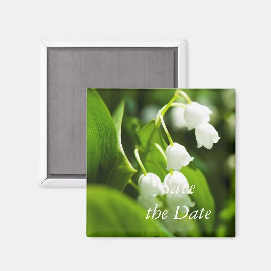 Lily der Blume Magnet (Vorderseite/Rückseite)