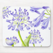 Lily des Nils auf einem Mauspad (Vorne)